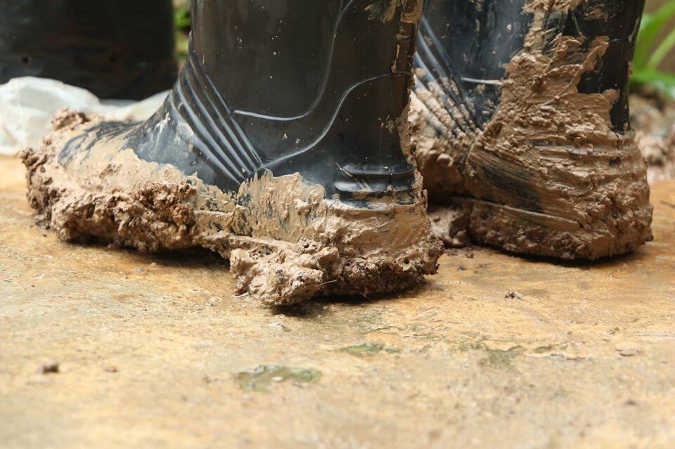 Rapid re-soiling?