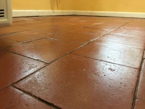 Quarry tile floor cleaning and restoration