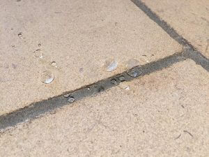 Here wa have a picture of water beading up on the limestone tile and grout joint with our limestone sealing techniques