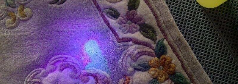 Pet Urine on a Rug under an ultra violet light