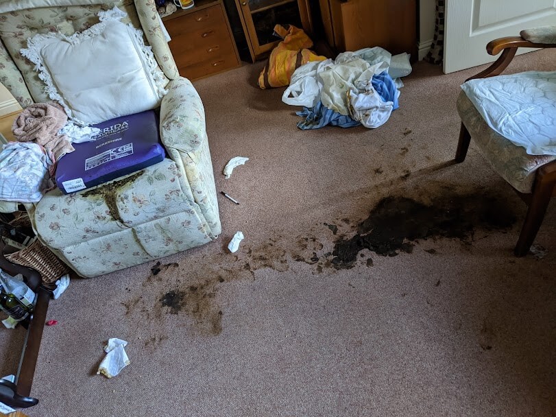 Human poo cleaning services